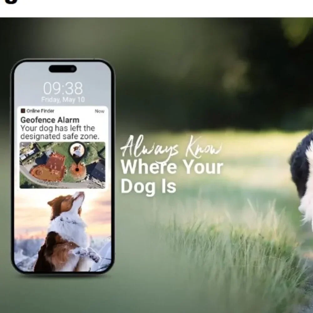 PAJ PET Finder 4G GPS Dog Tracker Black IP67 Waterproof Real-Time Tracking NIB